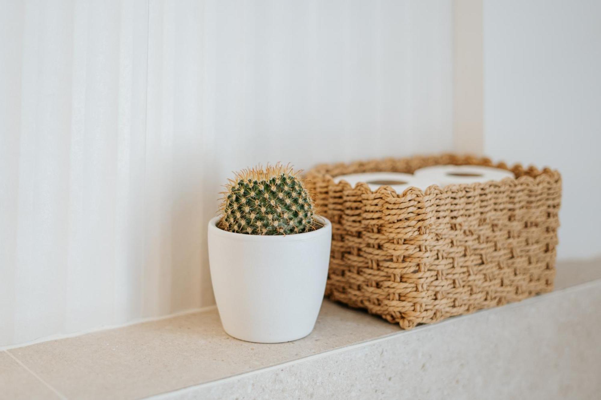 Emblematico F24-Only Adults B&B Santa Cruz de Tenerife Phòng bức ảnh